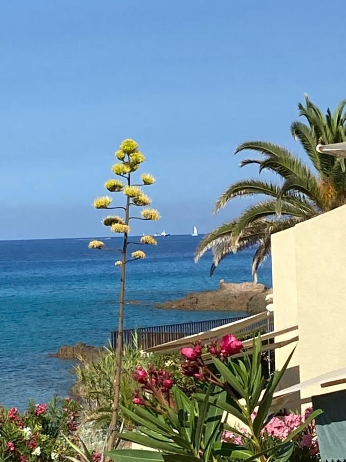 Residence City Suites Ajaccio Ajaccio  Dış mekan fotoğraf